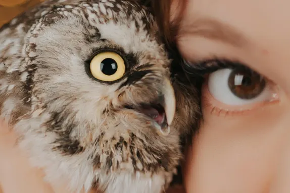 CasinoCasino Casinò Supporto